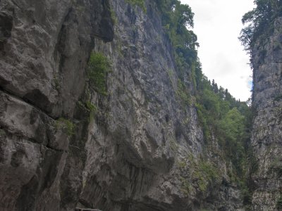 r00238
