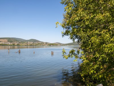 _DSC0335