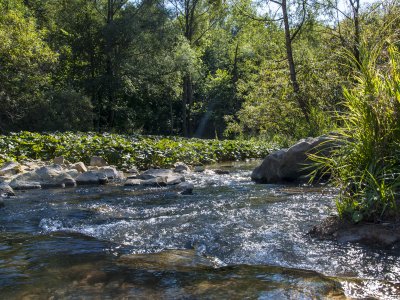 _DSC0383