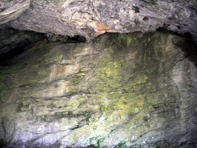 DSCN2573