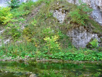 DSCN2635
