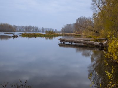 _DSC0019