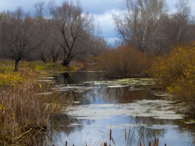 _DSC0080