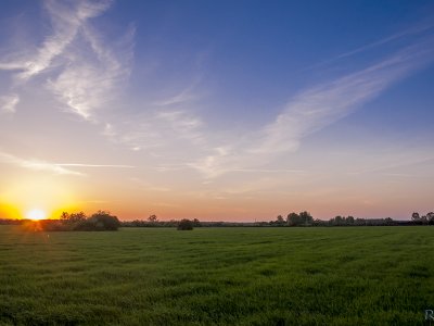 _DSC0408
