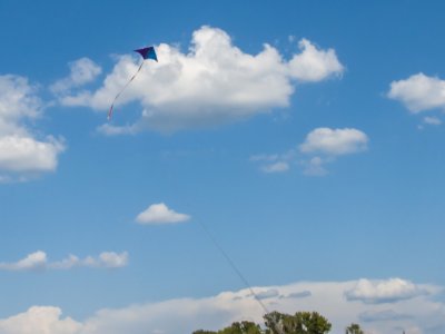 _DSC0928_3