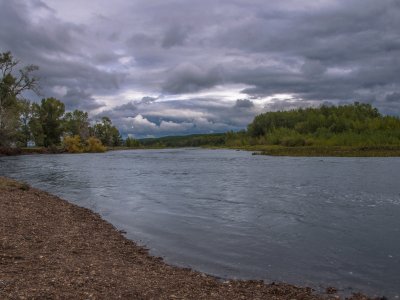 _DSC1202