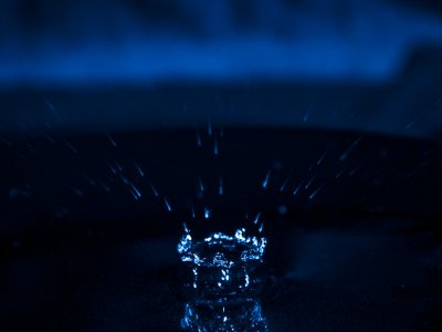 _DSC1690