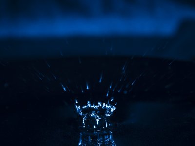 _DSC1691