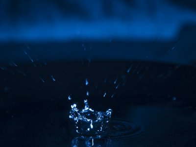 _DSC1693
