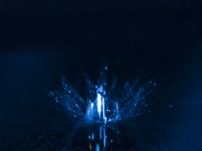 _DSC1696