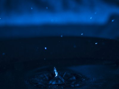 _DSC1700