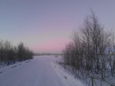 WP_000247