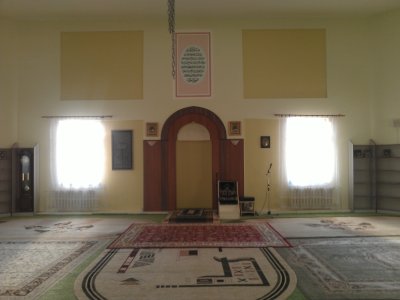 WP_000264