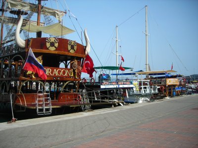 DSCN4471