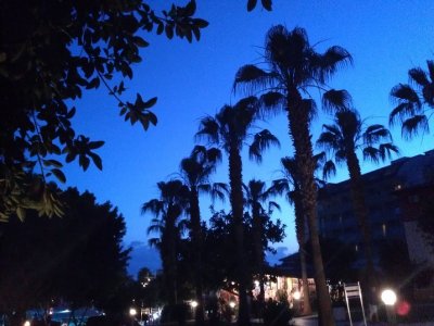 WP_000886