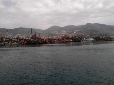 WP_000905