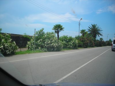 DSCN4098
