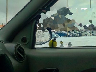 IMAG0627