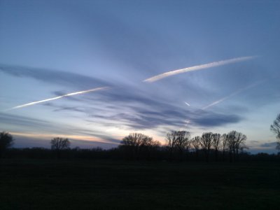 WP_000728